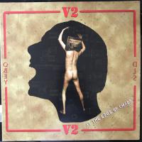 Виниловая пластинка V2 / At The Edge Of Chaos (1LP)